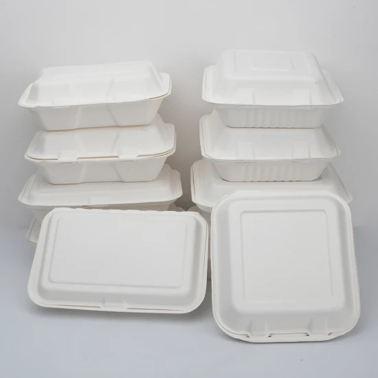 Envase compostable biodegradable de la caja de la cubierta del almuerzo de la pulpa de papel del bagazo disponible amistoso de Eco