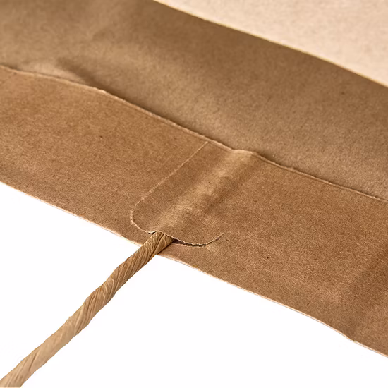 Bolsos reciclados modificados para requisitos particulares del embalaje del regalo del papel del top del volumen de ventas del arte