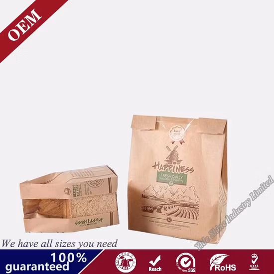 Bolsa de papel Kraft marrón reciclable certificada Fsc Sos con su propio logotipo